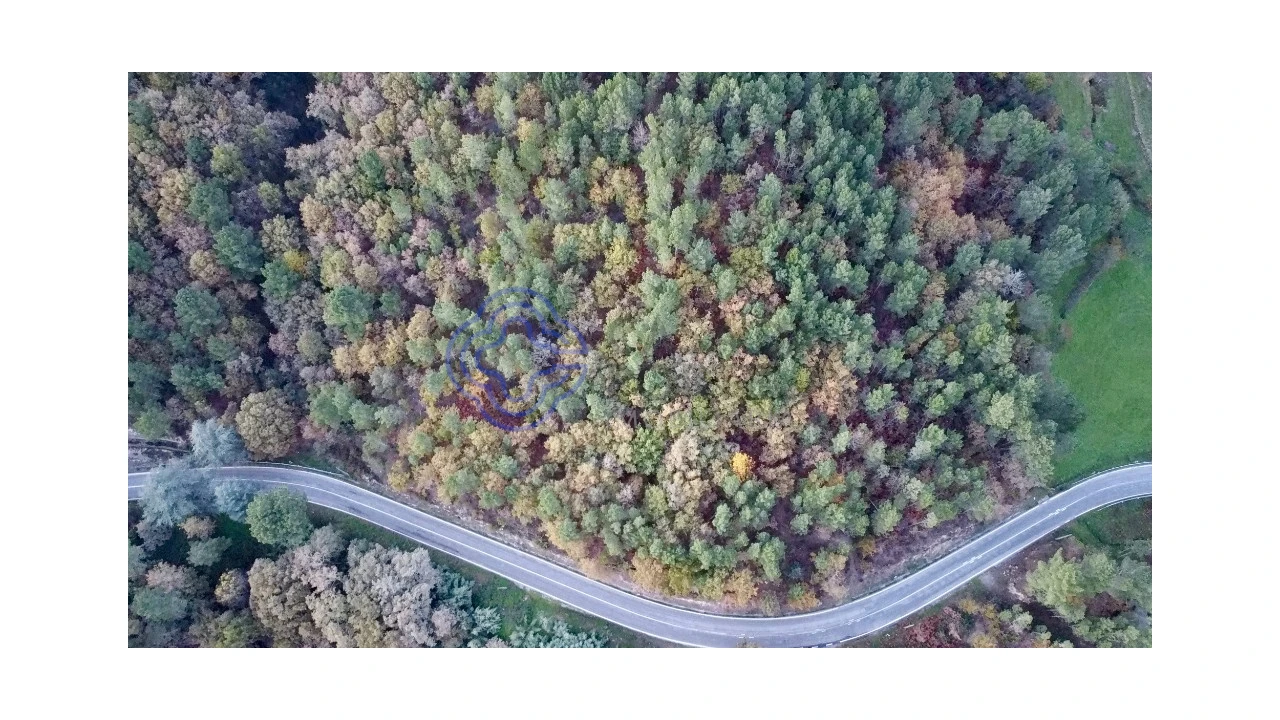 Terreno para Venda em Campelo e Ovil Foto 2