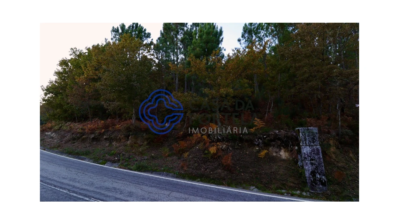 Terreno para Venda em Campelo e Ovil Foto 4