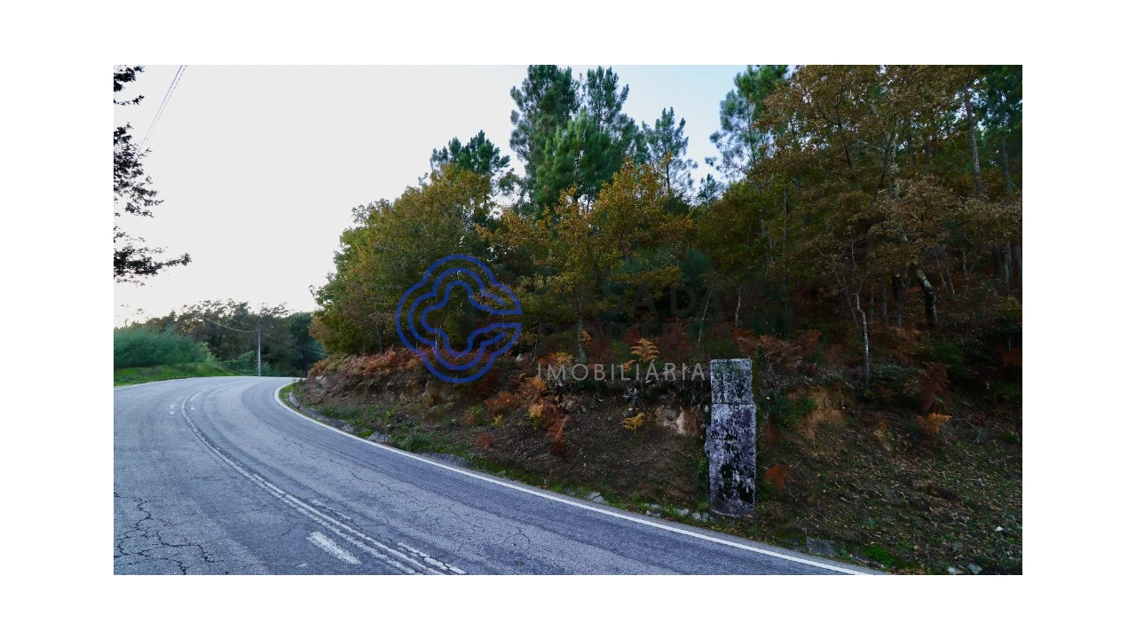 Terreno para Venda em Campelo e Ovil Foto 3