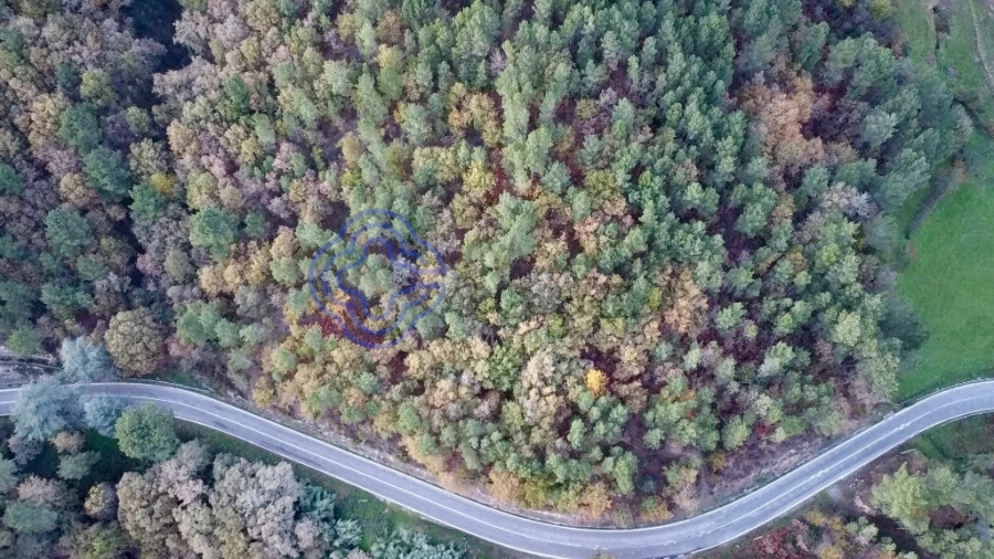 Terreno para Venda em Campelo e Ovil Foto 2