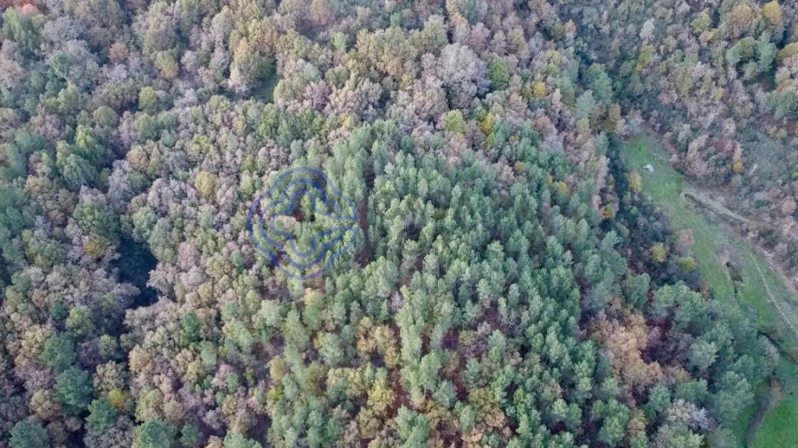 Terreno para Venda em Campelo e Ovil