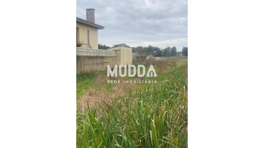 Terreno para Venda em Ovar, São João, Arada e São Vicente de Pereira Jusã Foto 4