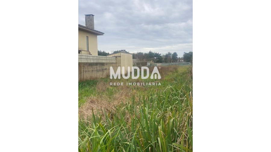 Terreno para Venda em Ovar, São João, Arada e São Vicente de Pereira Jusã Foto 6