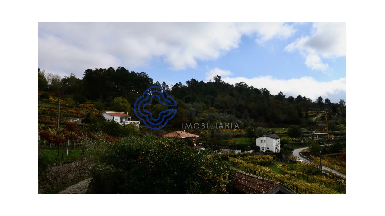 Terreno para Venda em Santa Marinha do Zezere Foto 6
