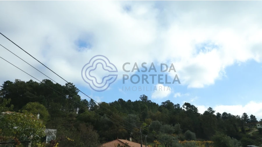 Terreno para Venda em Santa Marinha do Zezere Foto 2