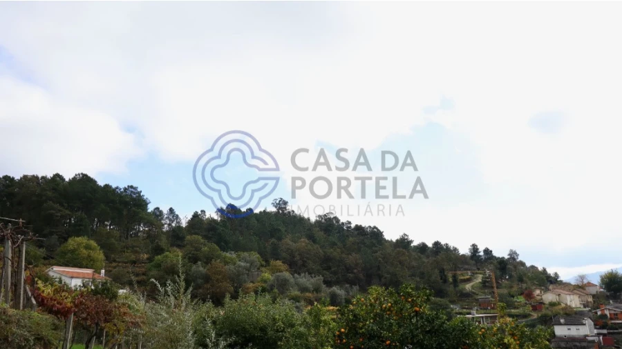 Terreno para Venda em Santa Marinha do Zezere Foto 4