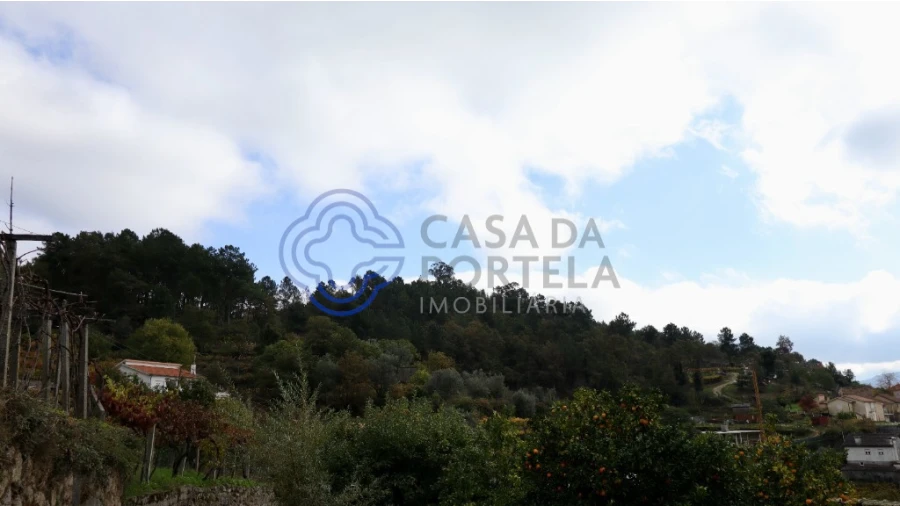 Terreno para Venda em Santa Marinha do Zezere Foto 3