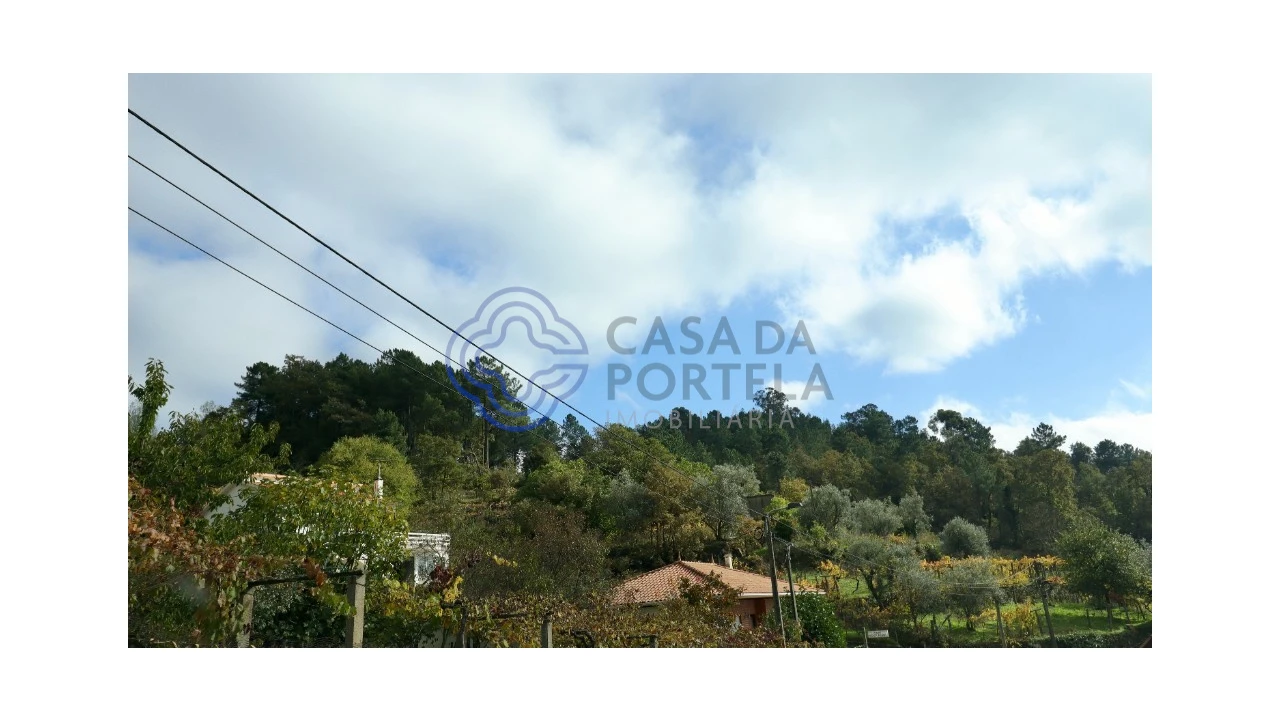 Terreno para Venda em Santa Marinha do Zezere Foto 5