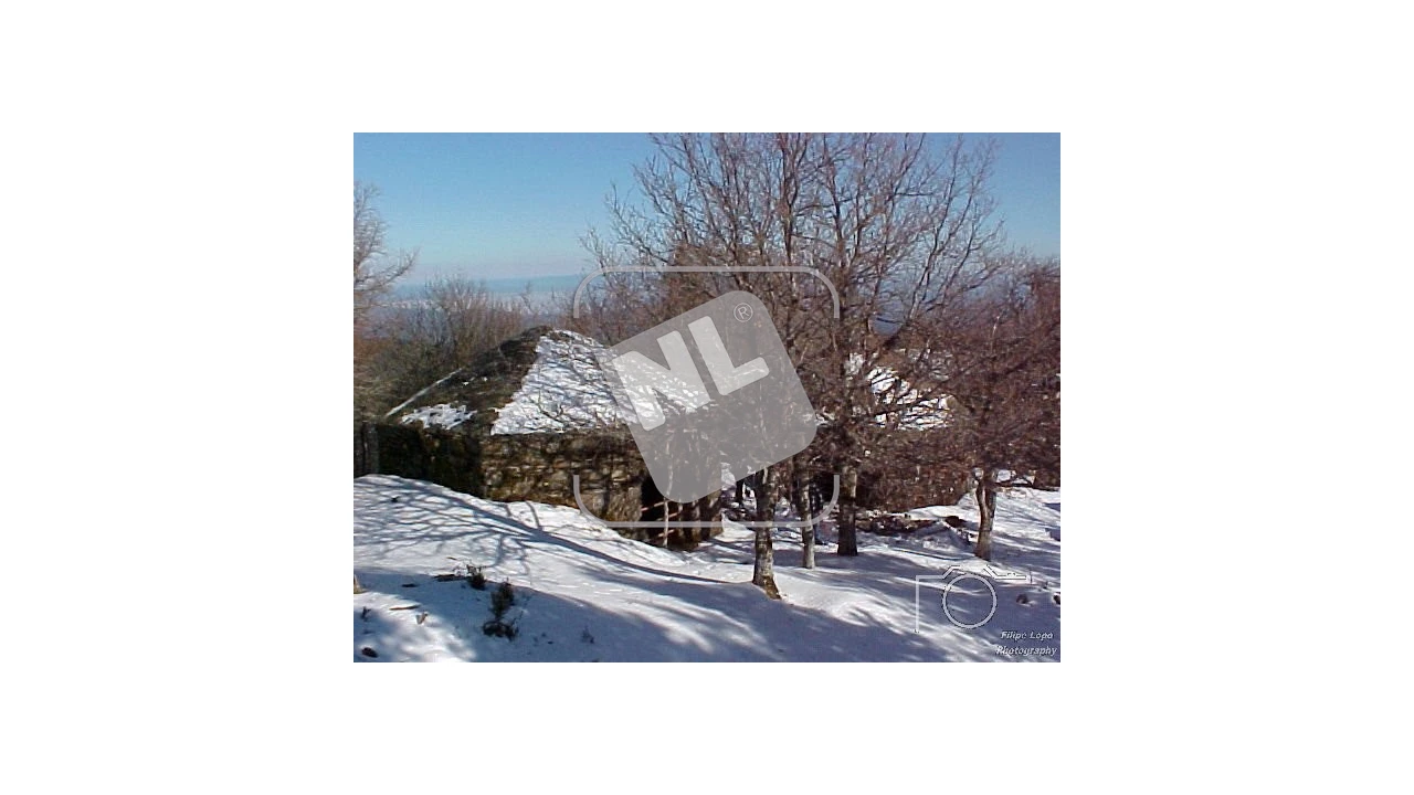 Terreno para Venda em Castanheira de Pêra e Coentral Foto 34