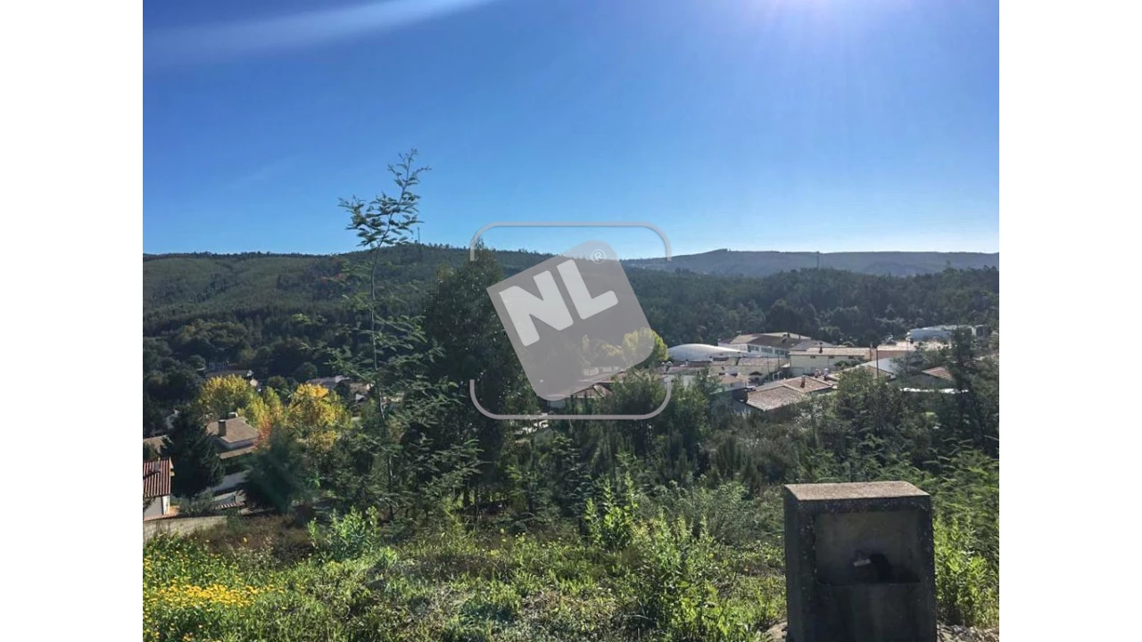 Terreno para Venda em Castanheira de Pêra e Coentral Foto 3