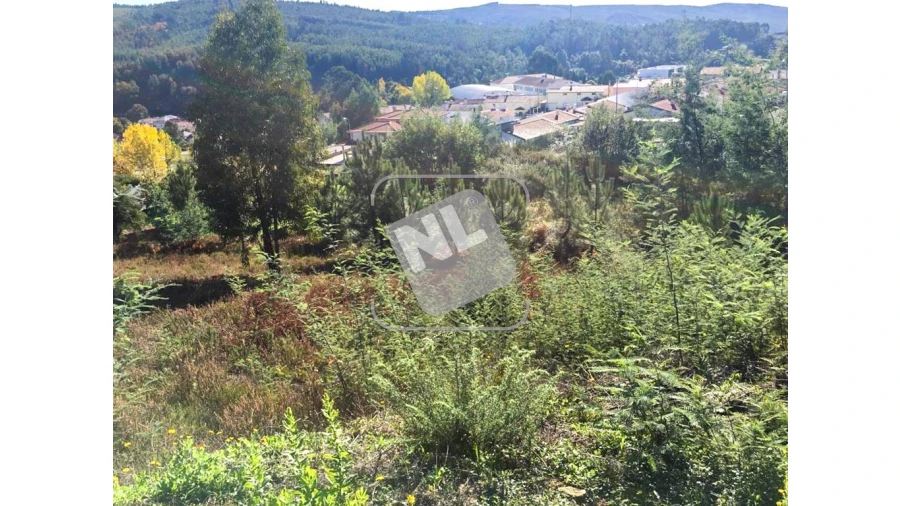 Terreno para Venda em Castanheira de Pêra e Coentral Foto 2