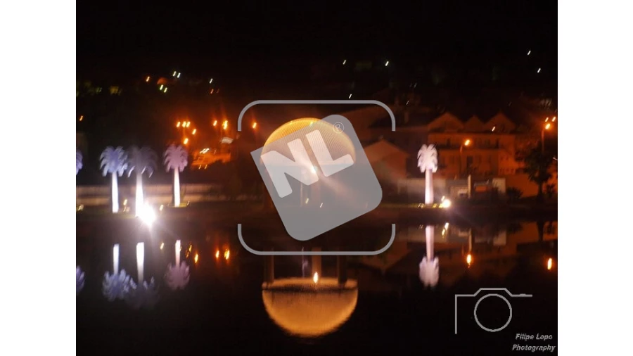 Terreno para Venda em Castanheira de Pêra e Coentral Foto 14