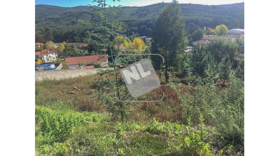 Terreno para Venda em Castanheira de Pêra e Coentral Foto 1