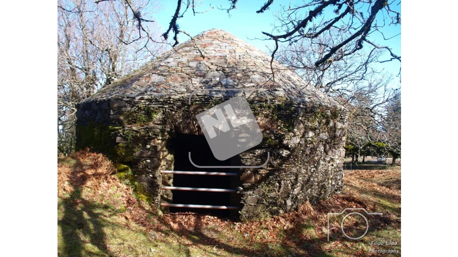 Terreno para Venda em Castanheira de Pêra e Coentral Foto 32
