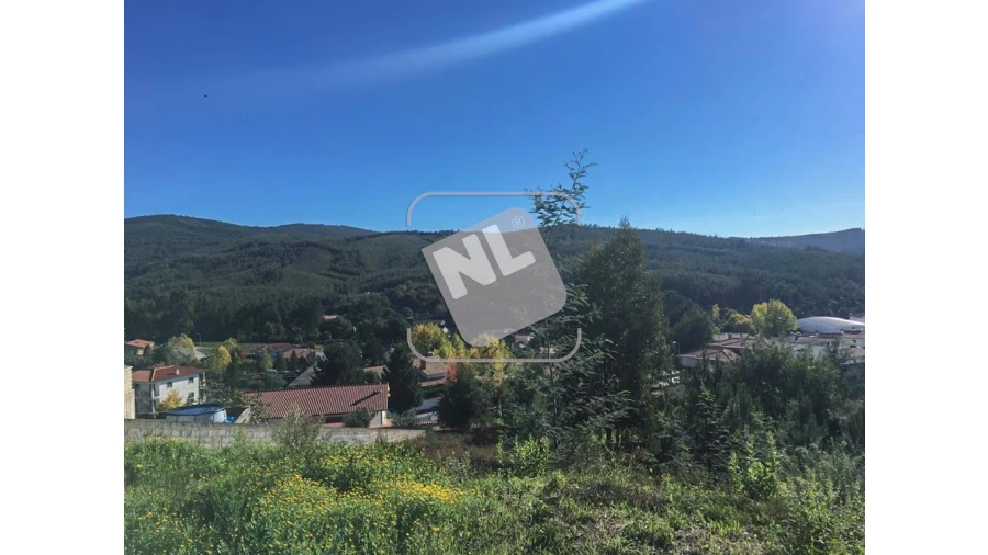 Terreno para Venda em Castanheira de Pêra e Coentral Foto 4