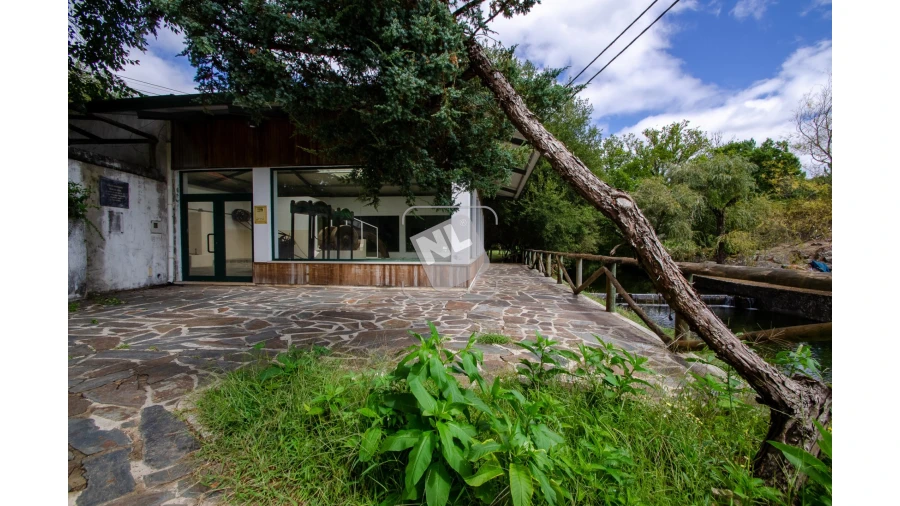 Terreno para Venda em Castanheira de Pêra e Coentral Foto 27