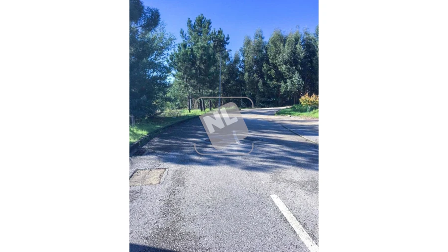 Terreno para Venda em Castanheira de Pêra e Coentral Foto 6