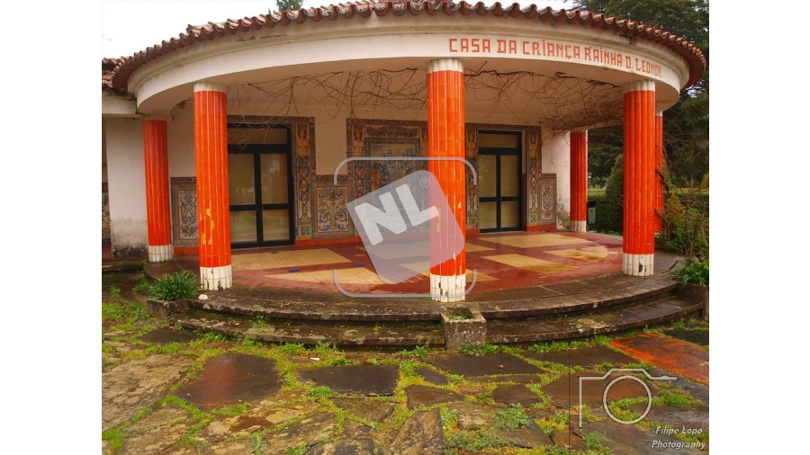 Terreno para Venda em Castanheira de Pêra e Coentral Foto 19