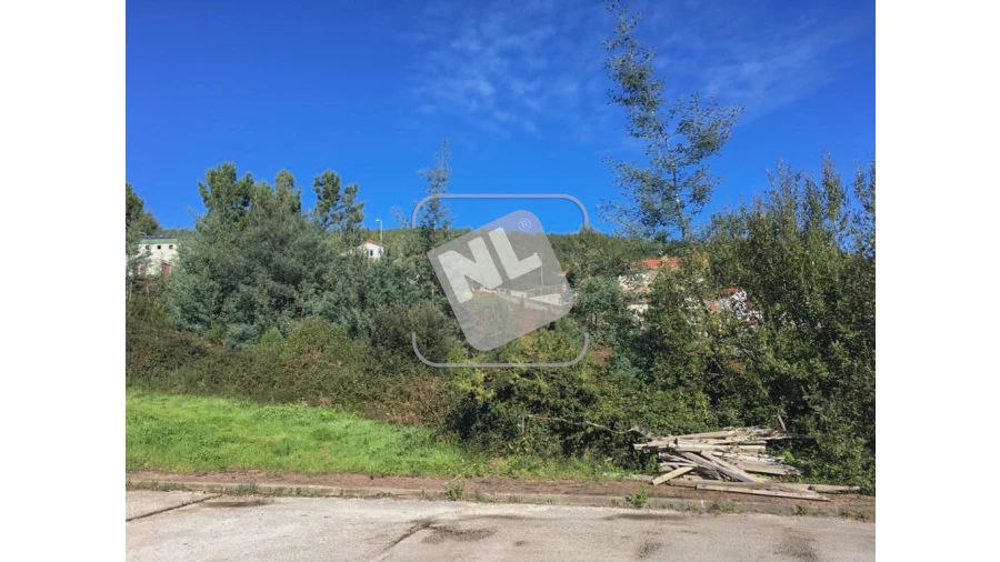 Terreno para Venda em Castanheira de Pêra e Coentral Foto 9
