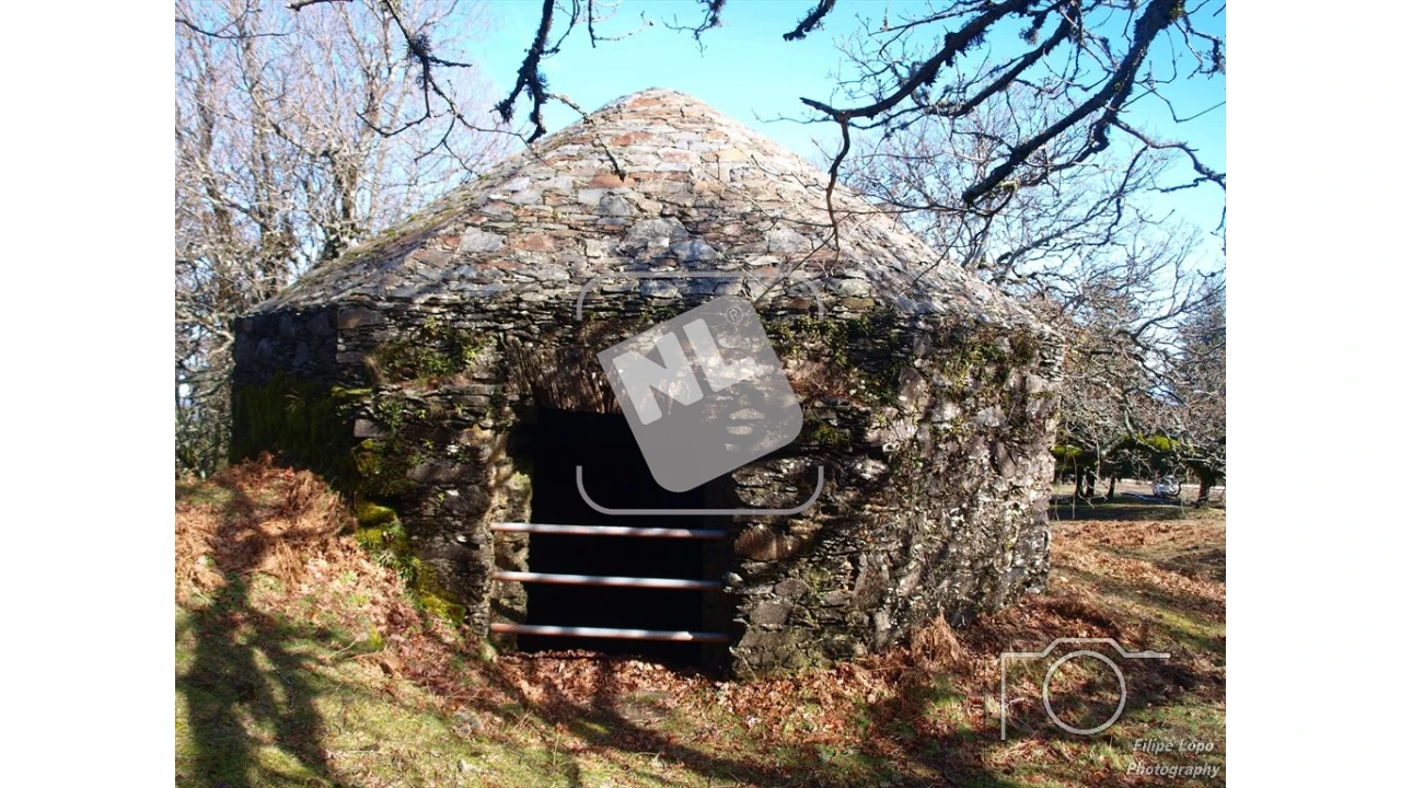Terreno para Venda em Castanheira de Pêra e Coentral Foto 32