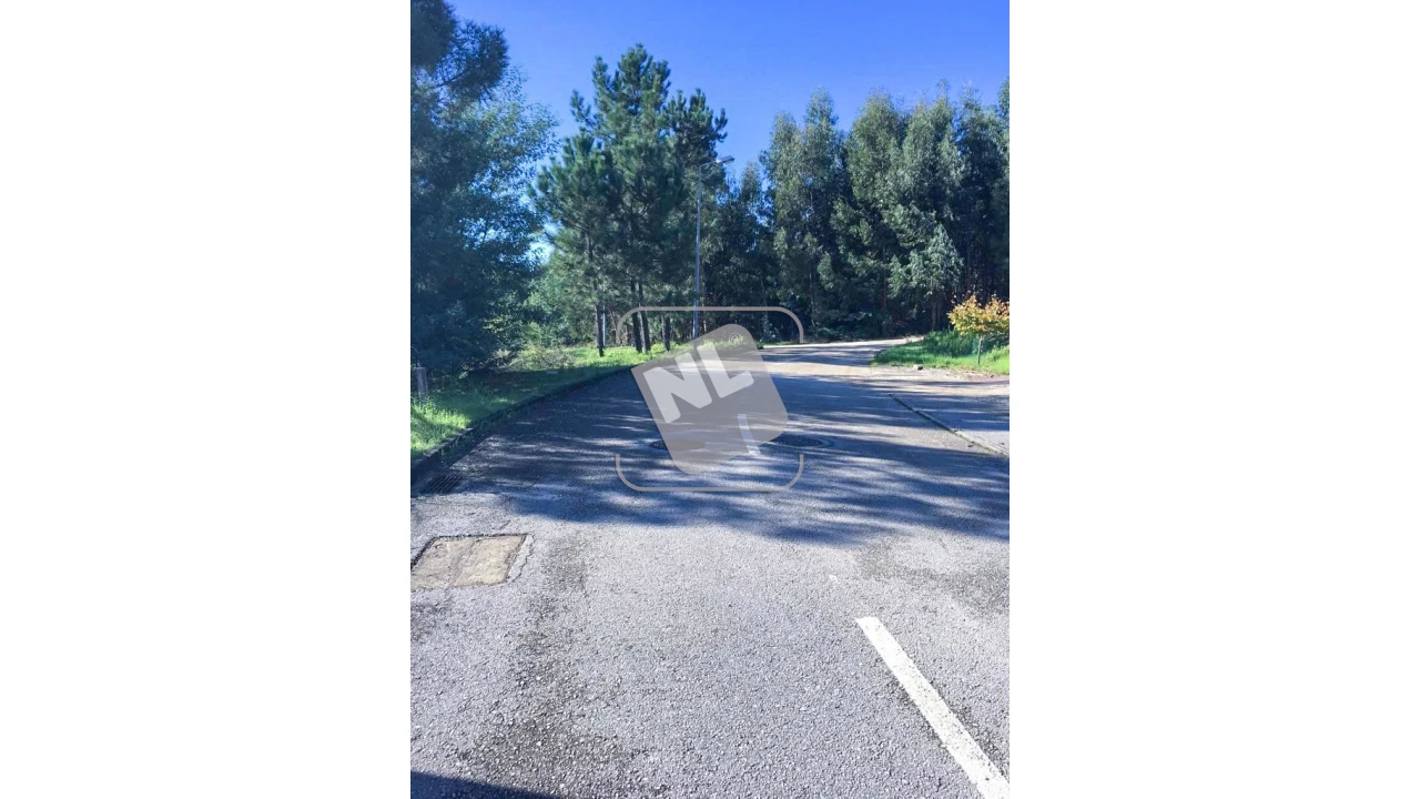 Terreno para Venda em Castanheira de Pêra e Coentral Foto 6