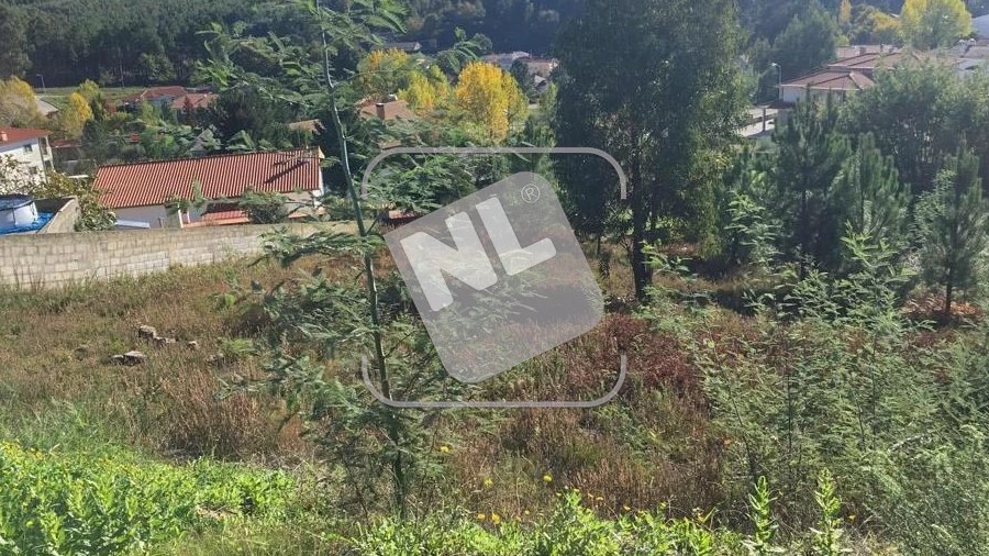 Terreno para Venda em Castanheira de Pêra e Coentral