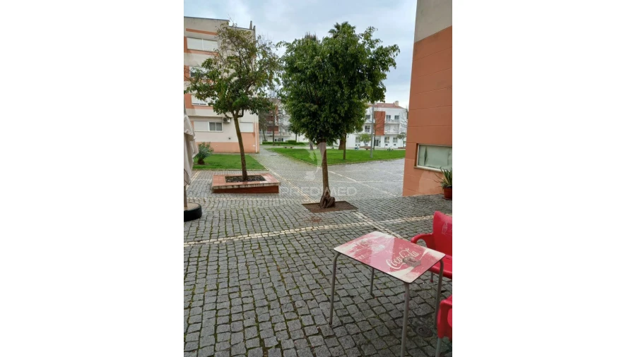 Loja para Venda em Beja (Santiago Maior e São João Baptista) Foto 2