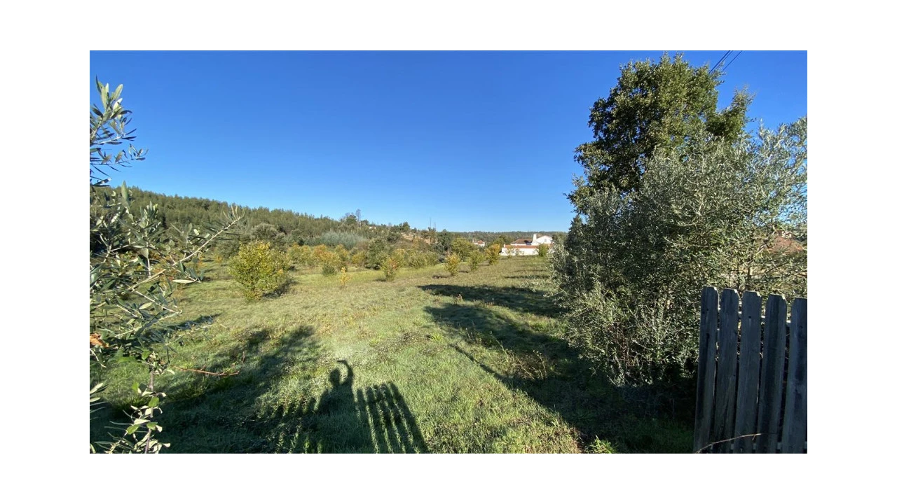 Quinta T6 para Venda em Lavegadas Foto 22