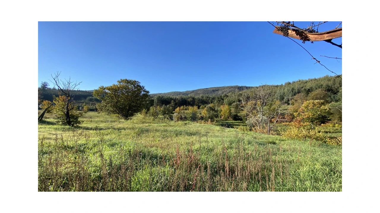 Quinta T6 para Venda em Lavegadas Foto 21