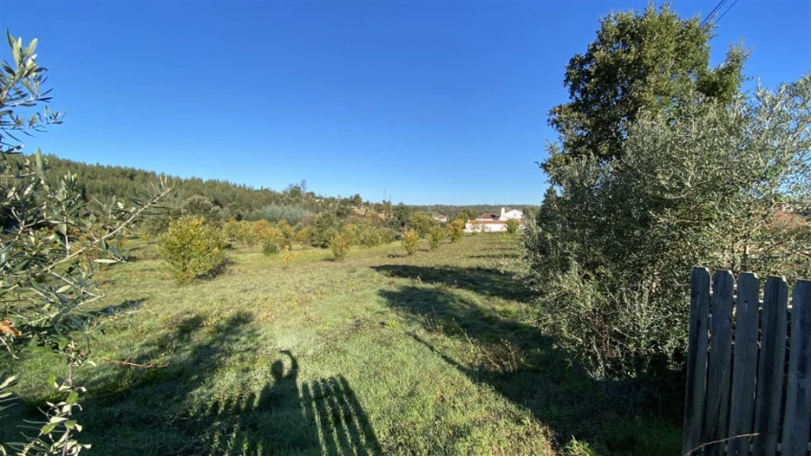 Quinta T6 para Venda em Lavegadas Foto 22