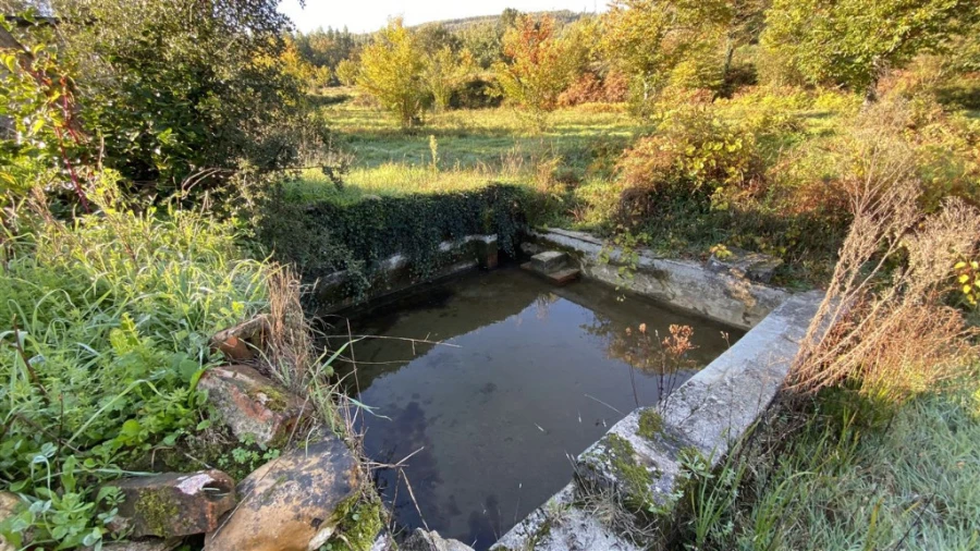 Quinta T6 para Venda em Lavegadas Foto 20