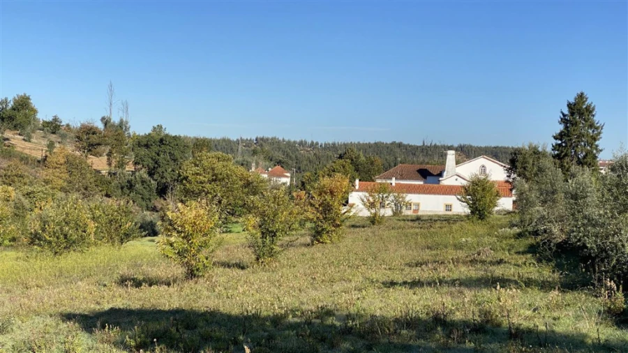 Quinta T6 para Venda em Lavegadas Foto 18