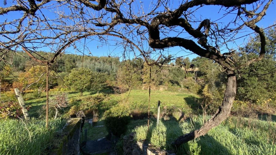 Quinta T6 para Venda em Lavegadas Foto 19