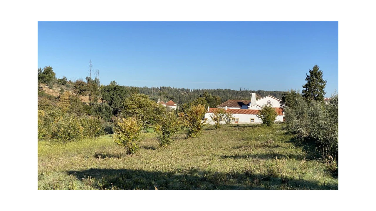 Quinta T6 para Venda em Lavegadas Foto 18