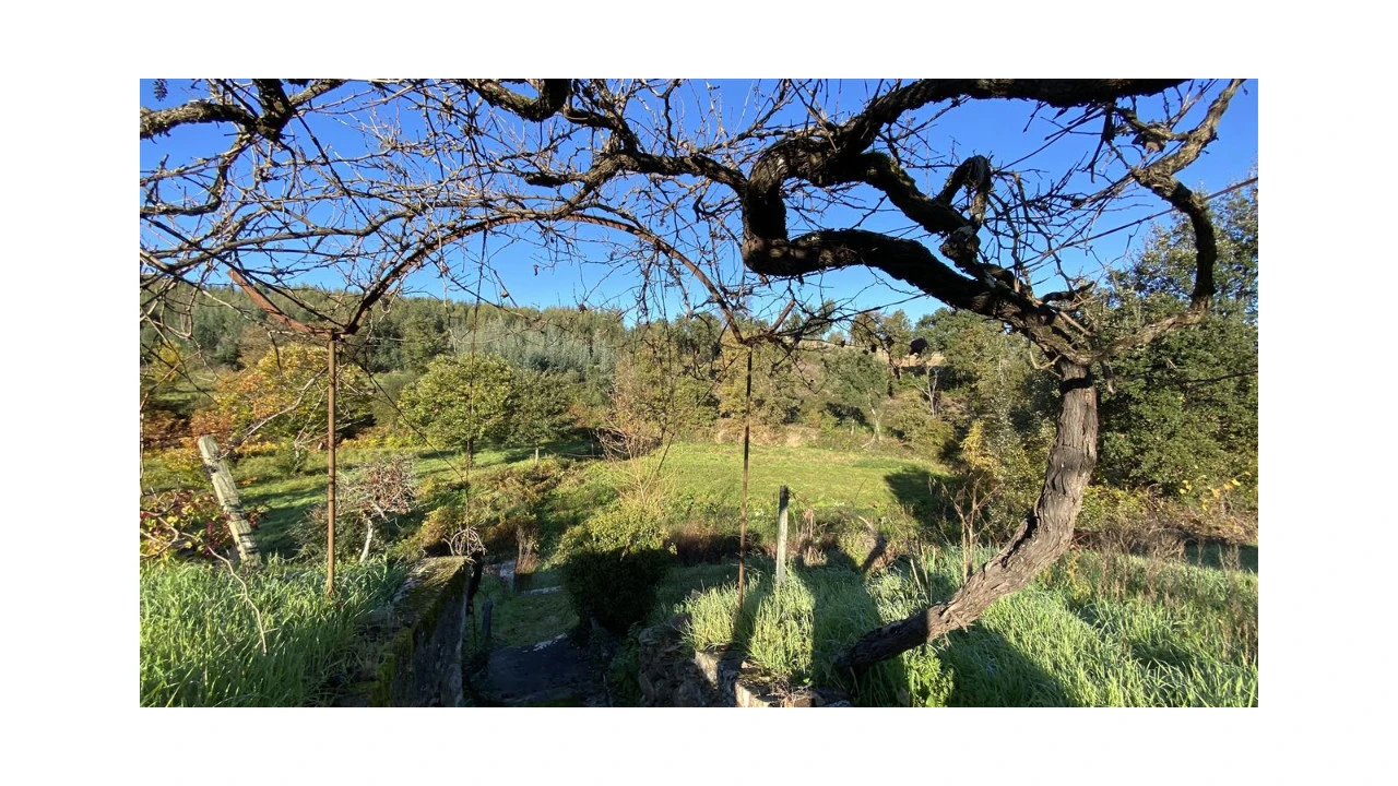 Quinta T6 para Venda em Lavegadas Foto 19