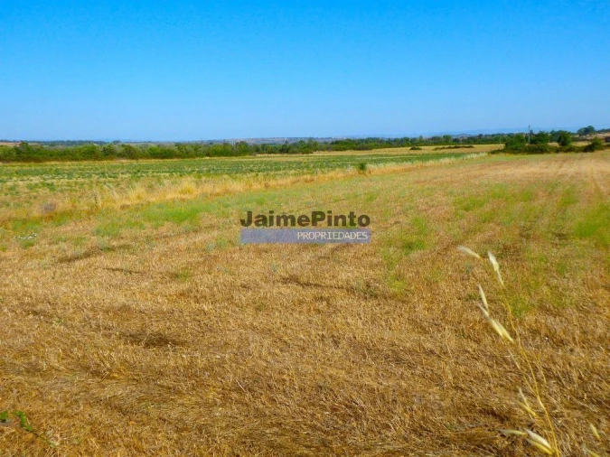 Terreno Agricola ou Rústico para Venda em Figueira de Castelo Rodrigo Foto 3