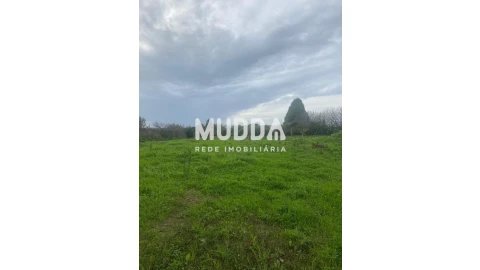 Terreno para Venda em Esmoriz