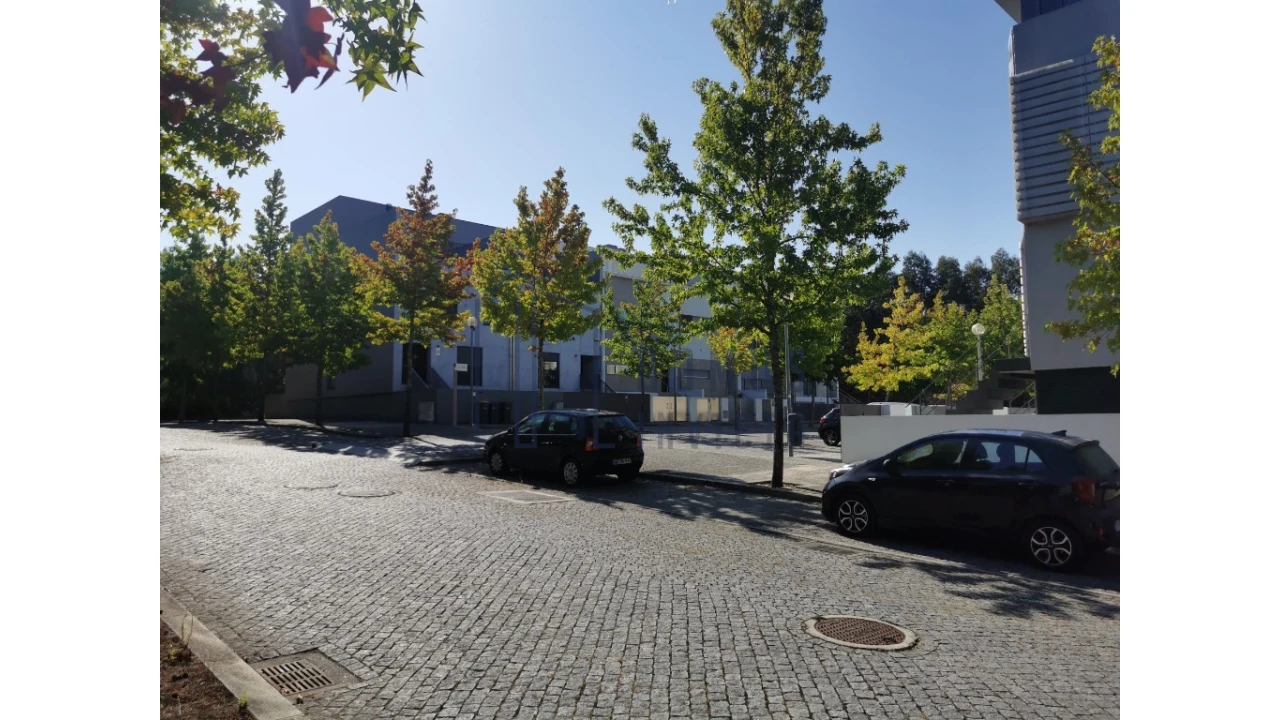 Terreno para Venda em Nogueira e Silva Escura Foto 18