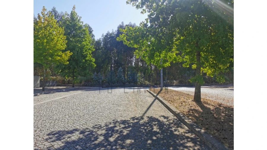 Terreno para Venda em Nogueira e Silva Escura Foto 17