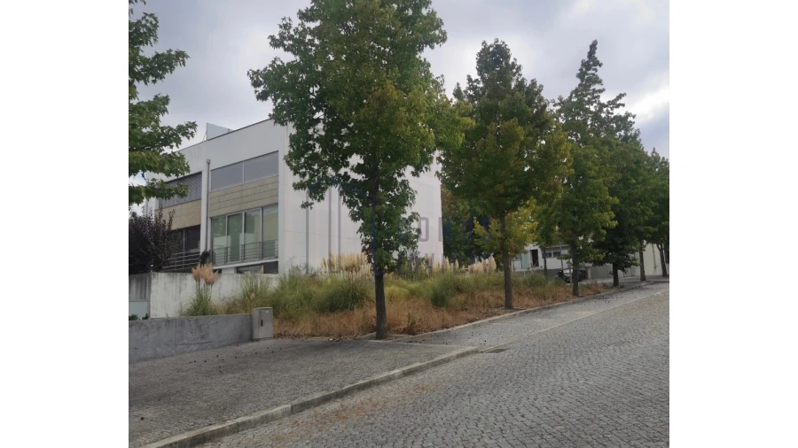 Terreno para Venda em Nogueira e Silva Escura Foto 21