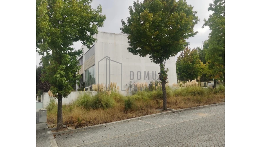 Terreno para Venda em Nogueira e Silva Escura Foto 19