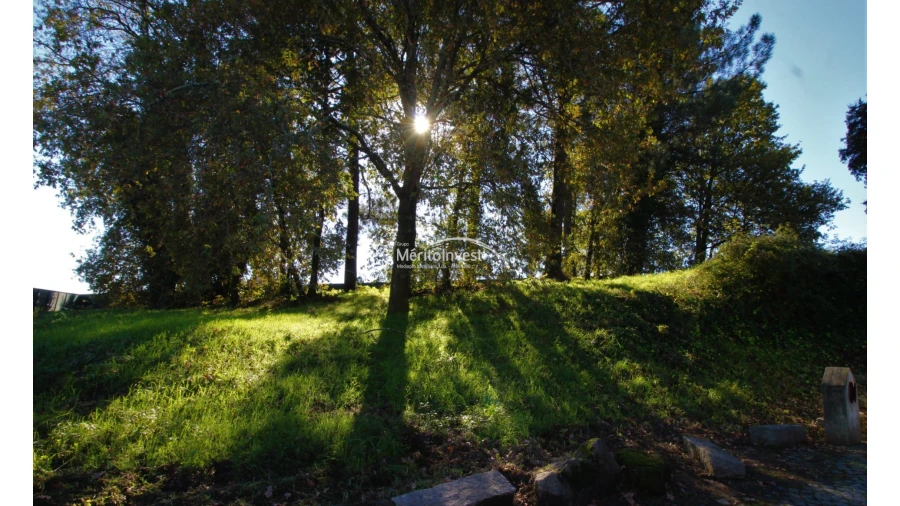 Terreno para Venda em Airão Santa Maria, Airão São João e Vermil Foto 3