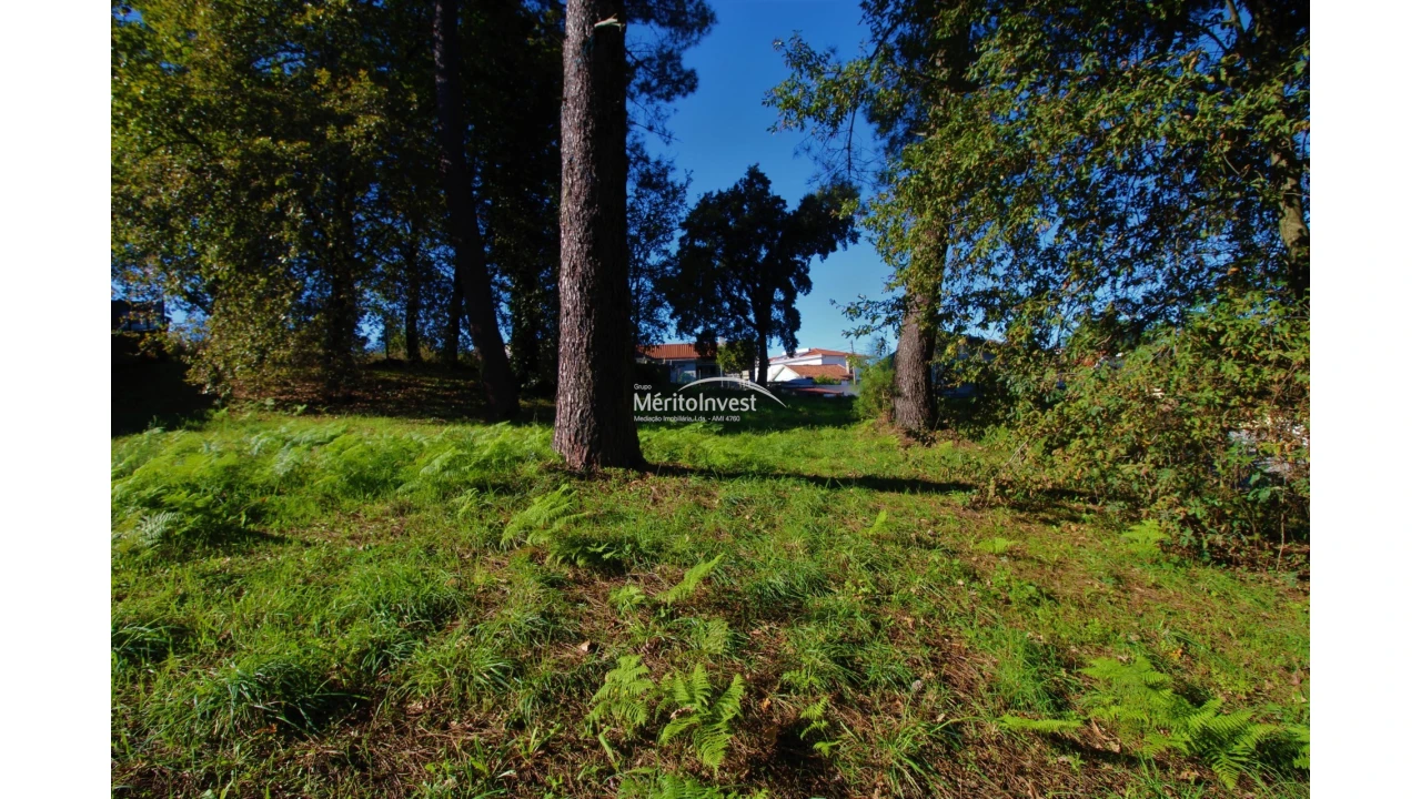 Terreno para Venda em Airão Santa Maria, Airão São João e Vermil Foto 4