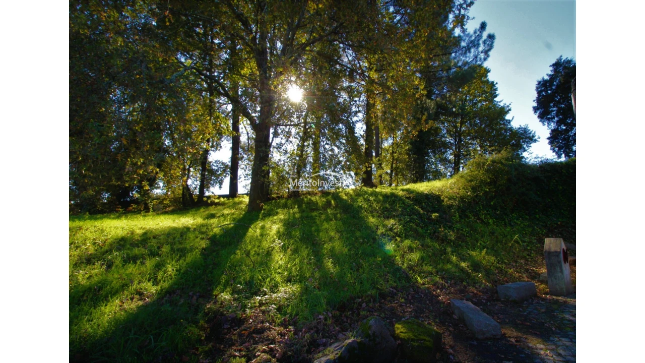 Terreno para Venda em Airão Santa Maria, Airão São João e Vermil Foto 6