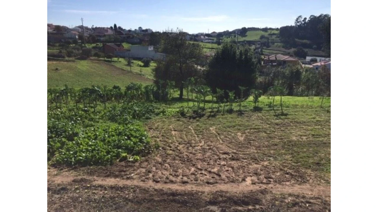 Terreno para Venda em Caranguejeira Foto 5