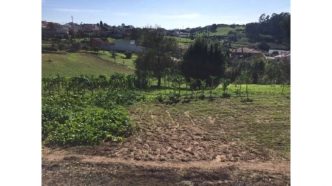 Terreno para Venda em Caranguejeira