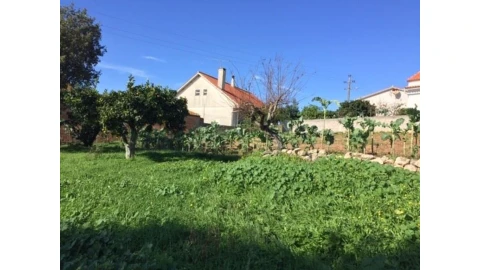 Terreno para Venda em Caranguejeira