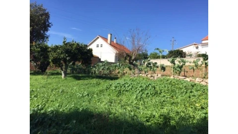 Terreno para Venda em Caranguejeira