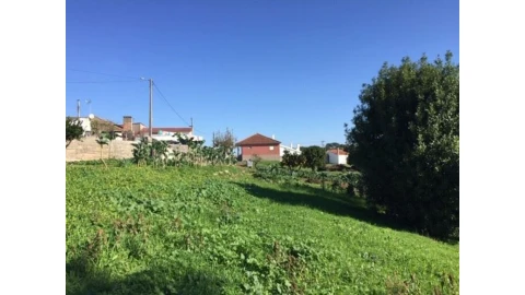 Terreno para Venda em Caranguejeira