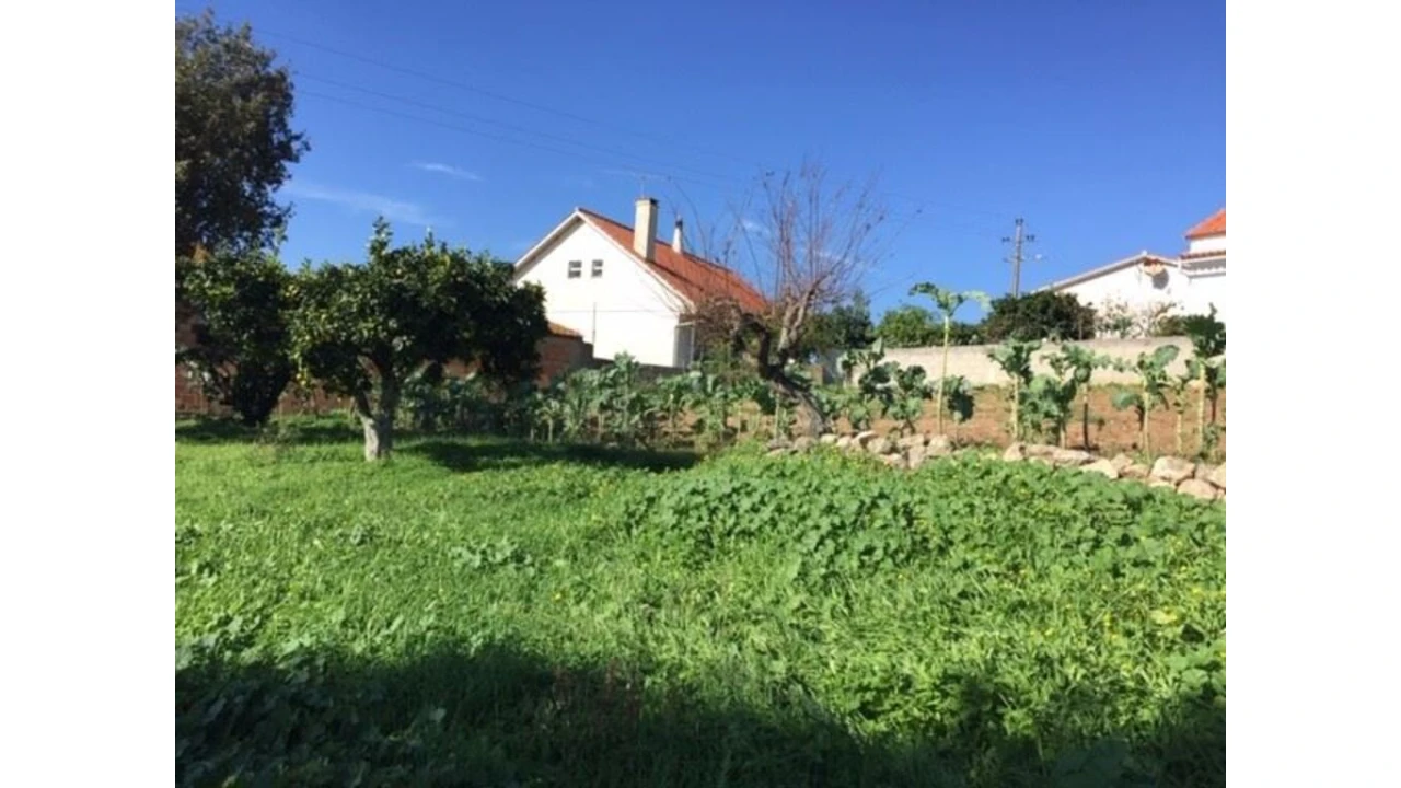 Terreno para Venda em Caranguejeira Foto 6